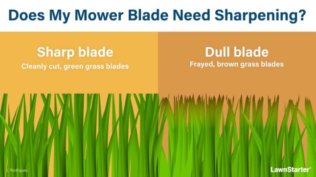 Sharp Blade infographic