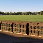 How to Lay Sod: A Step-by-Step Guide