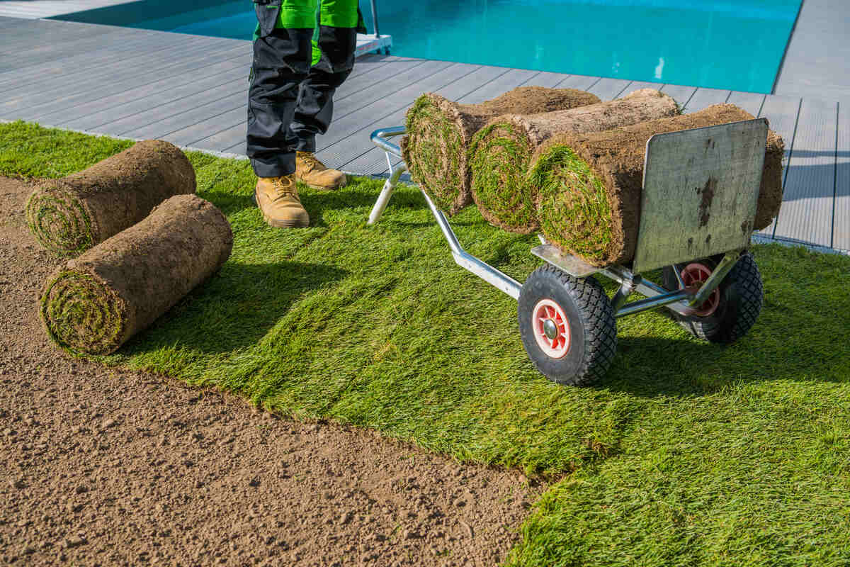 Turf Grass Rolls Loaded on Hand Truck