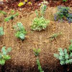 Pros and Cons of Using Landscape Fabric