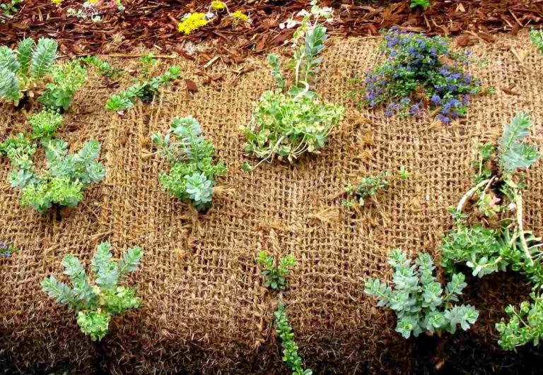 landscape fabric