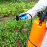 Glyphosate: Pros, Cons, and Alternatives