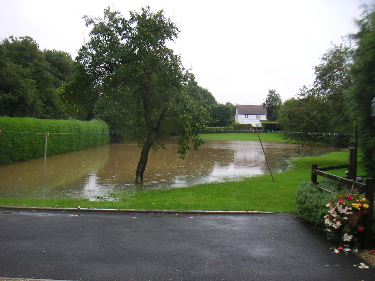 flooded lawn