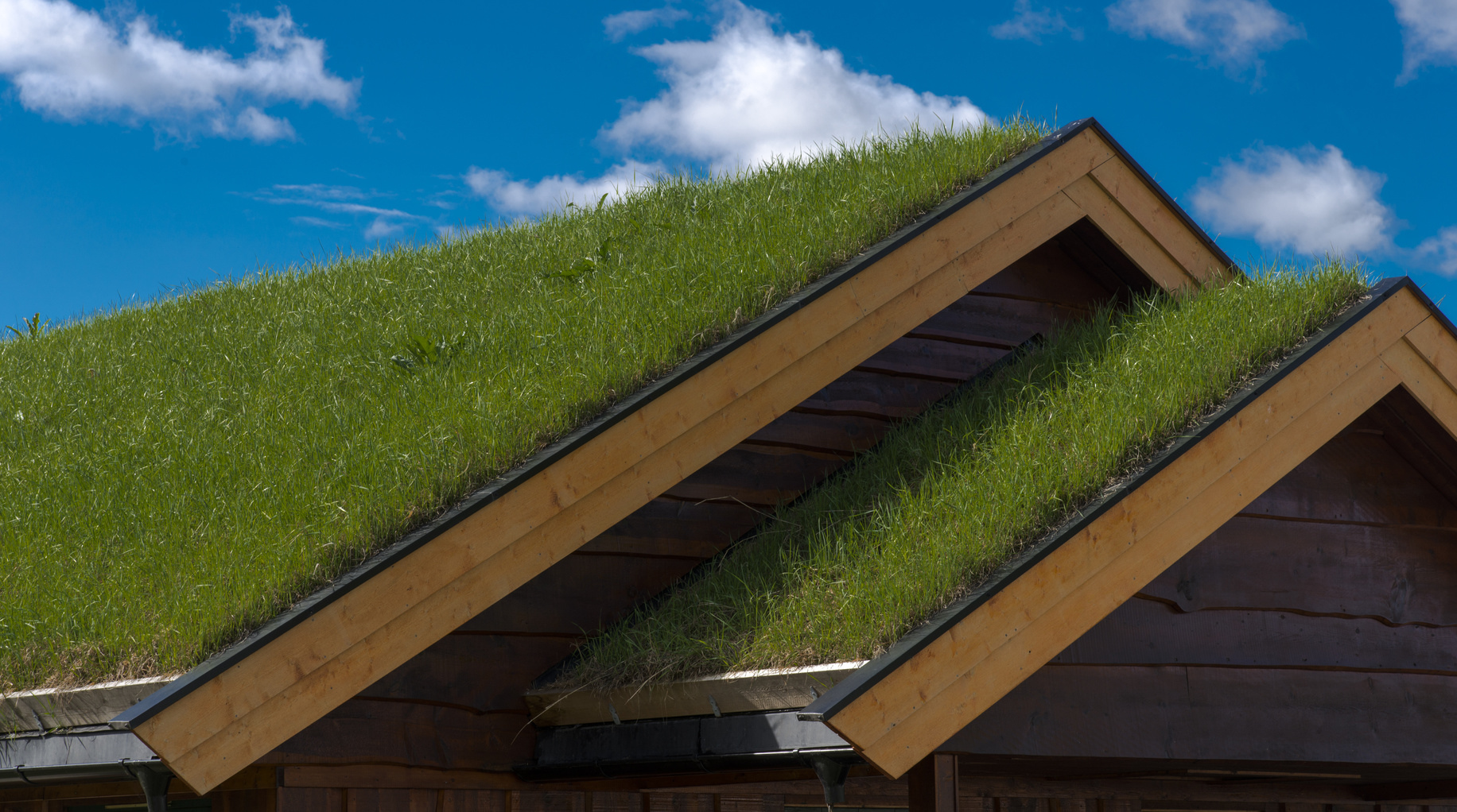 Green roofs