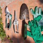 Pruning 101: A Guide to Trimming Bushes, Hedges, Shrubs