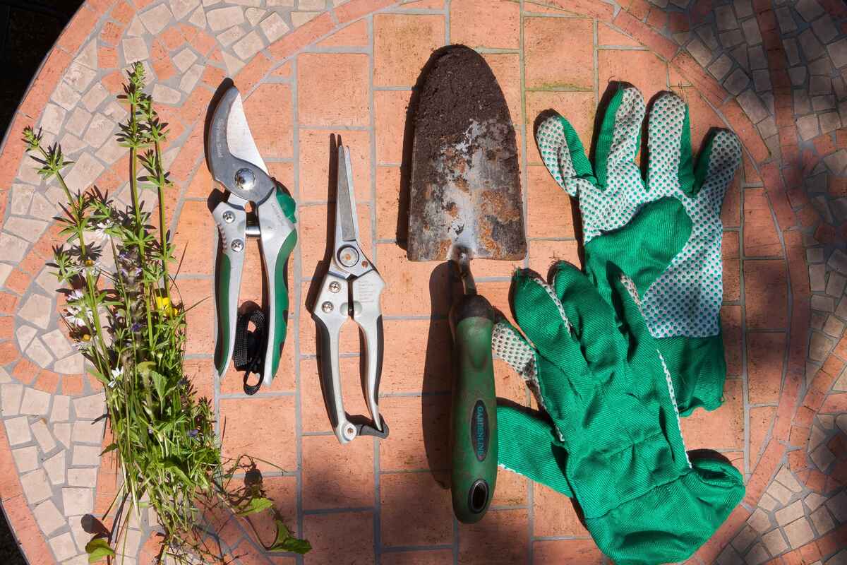 Best garden shears and secateurs for trimming grass, hedges and pruning  shrubs in 2023