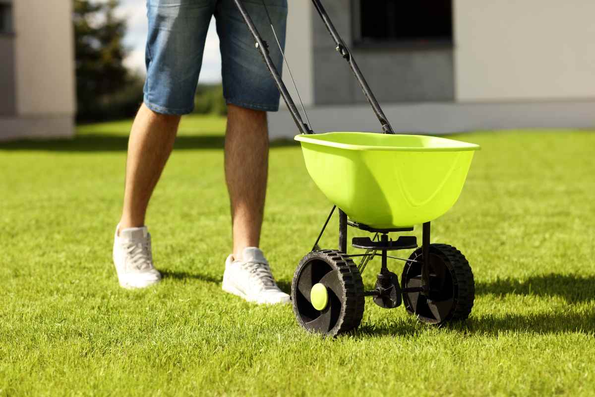 man with a seeder in the lawn