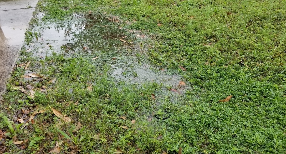 Minor lawn flooding