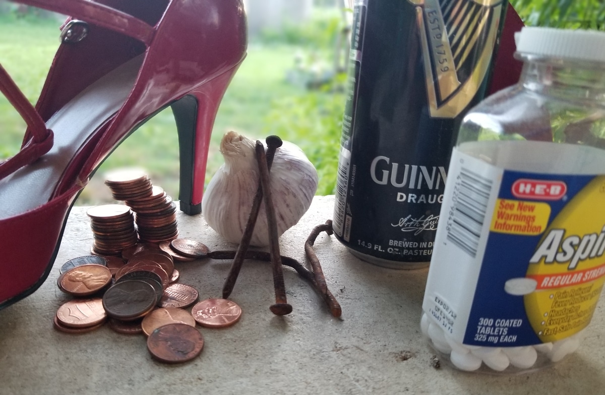 Stiletto heels, rusty nails, garlic, pennies, aspirin and beer - folkloric lawn care