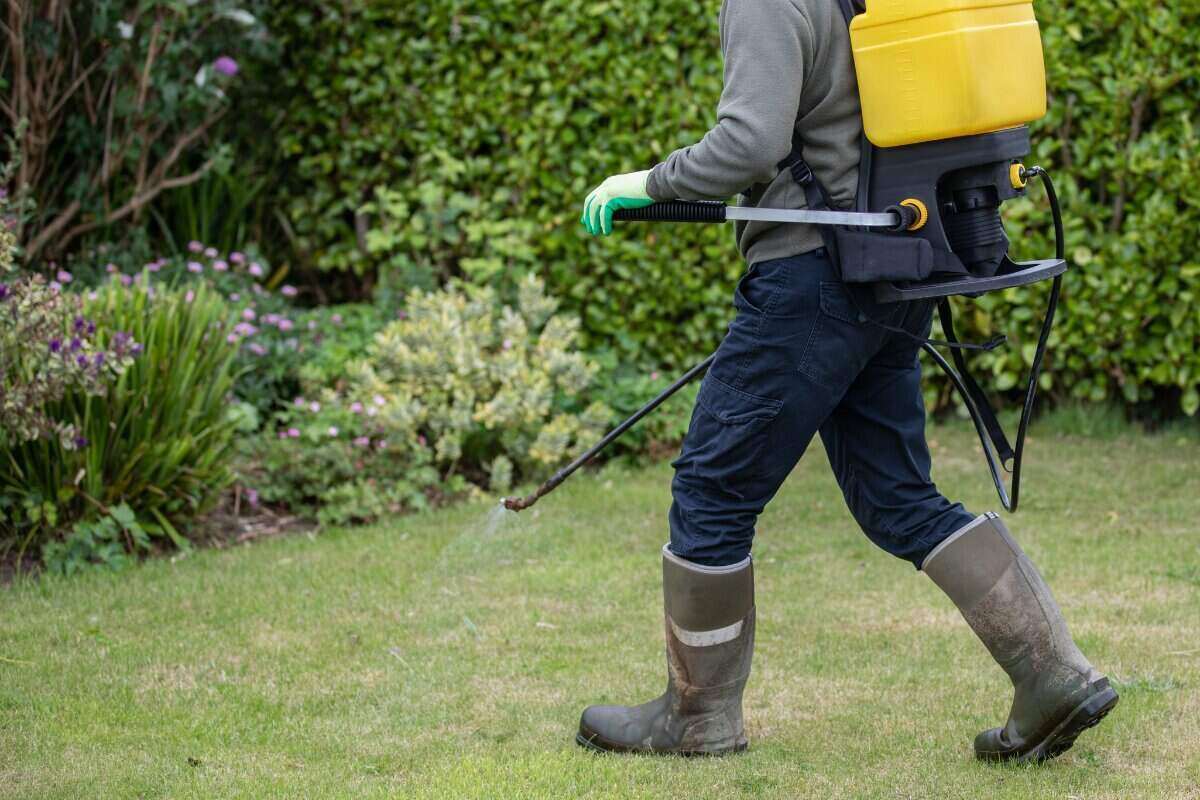 Gardener spraying weed