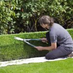 Proper Pruning of Your Shrubs