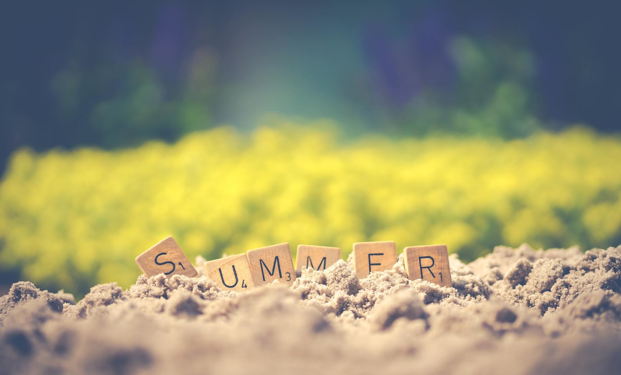 Summer lawn care guide