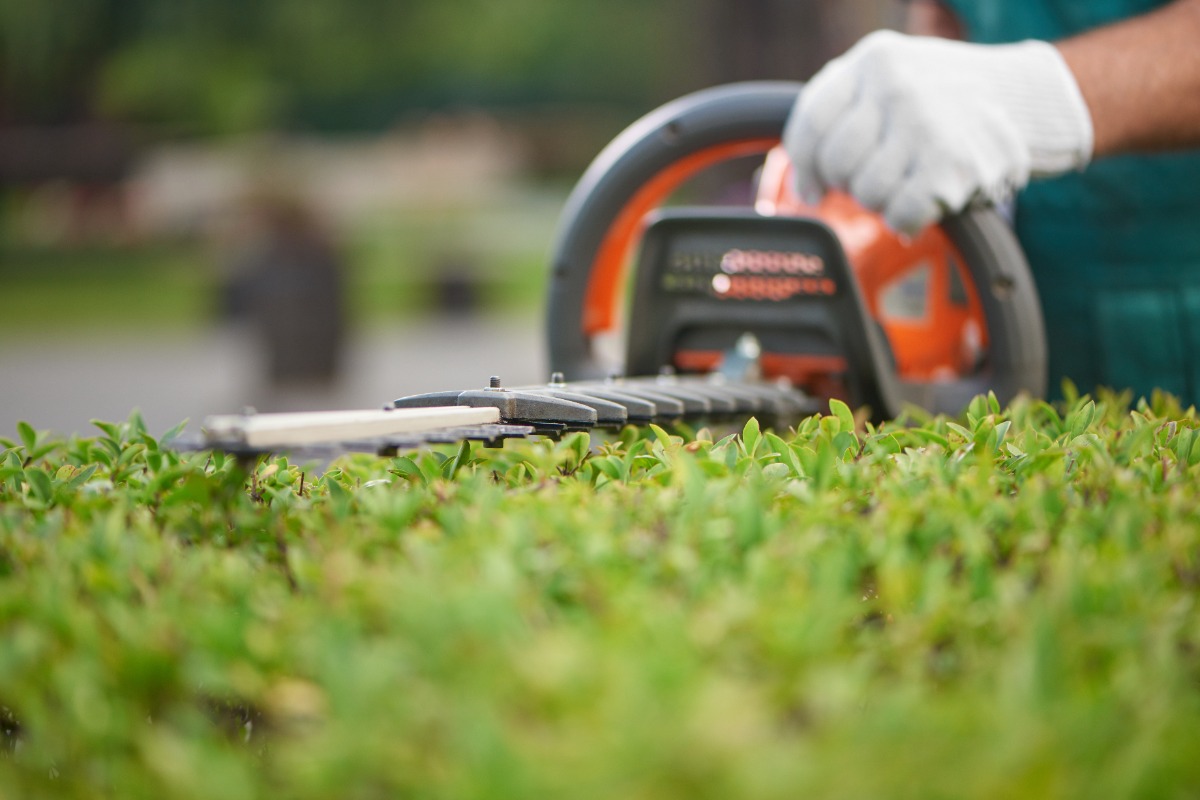 Close up of electric hedge trimmer held by gloved gardener shaping green shrub into neat level hedge in park setting.