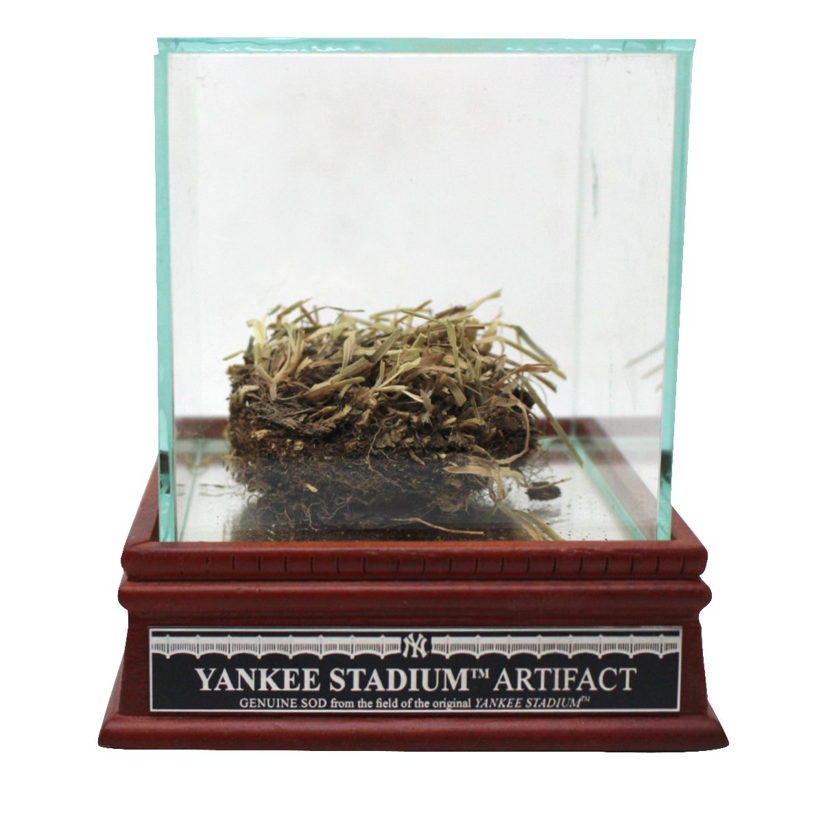 Yankee Stadium freeze-dried turf