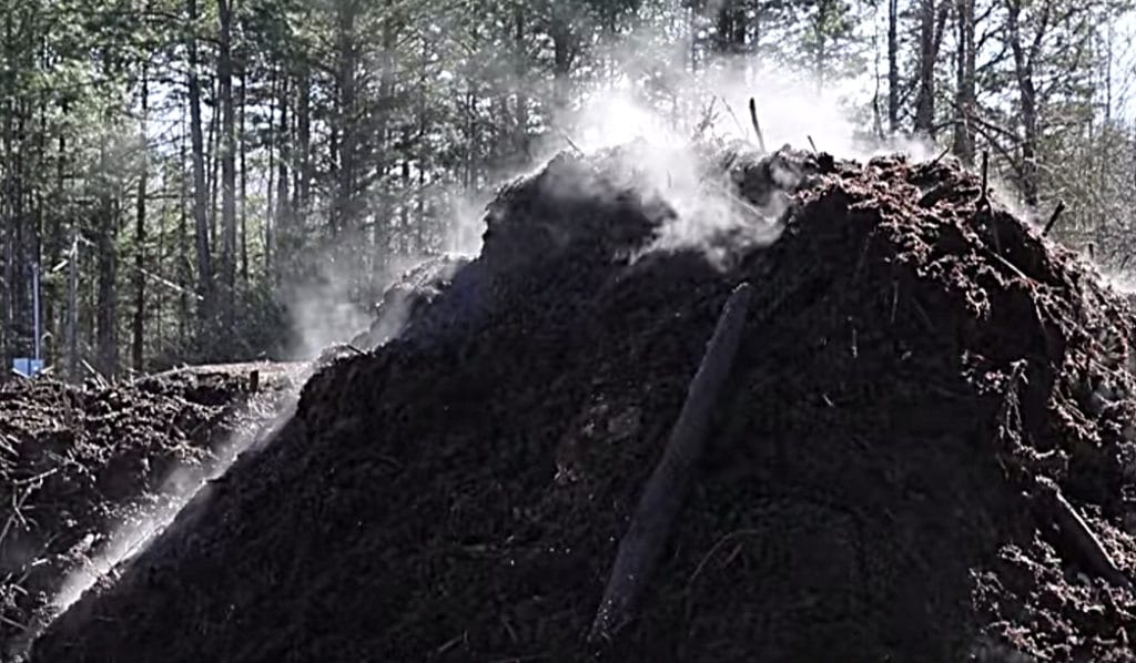 Midden of animal poop steams at North Carolina Zoo