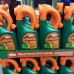 Applying Post-Emergent Herbicides to Your Lawn