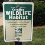 Turn Your Yard Into a Certified Wildlife Habitat