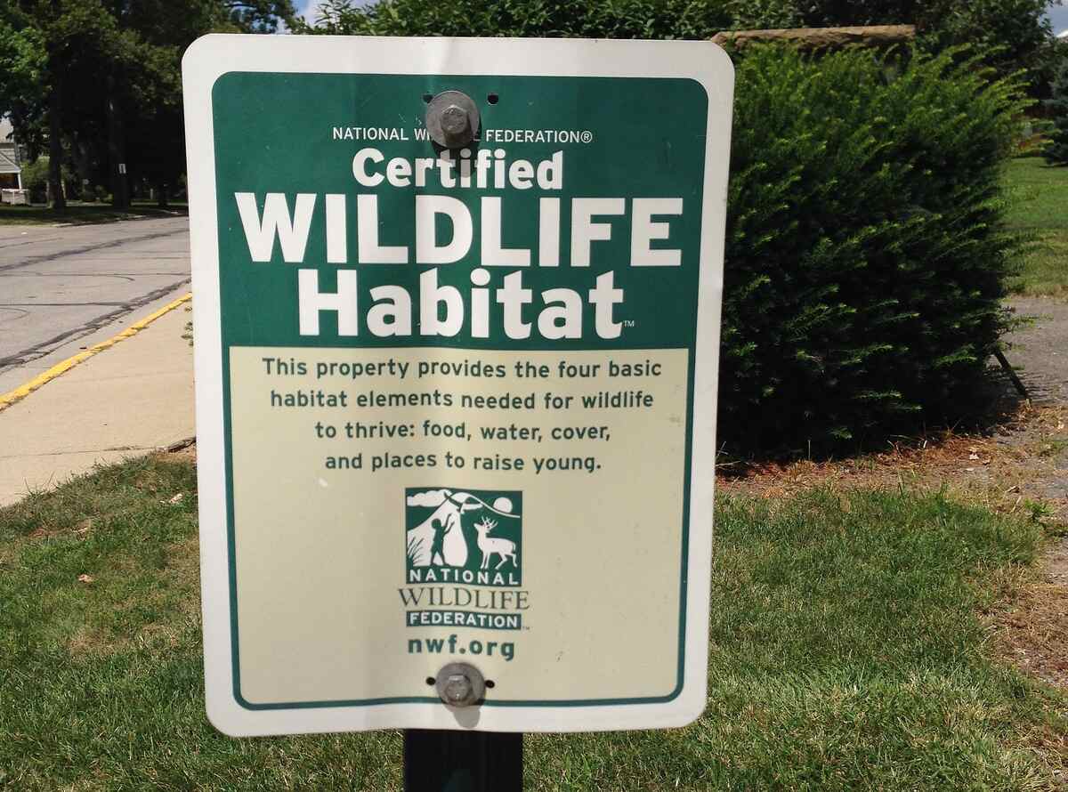 Certifying Your Yard or Garden as a Wildlife Habitat