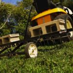 When and How to Dethatch Your Lawn
