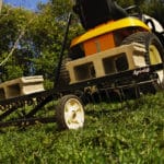 Dethatching Your Lawn — a Comprehensive Guide