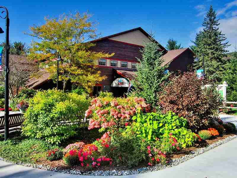 landscaped shrubs in front of a house