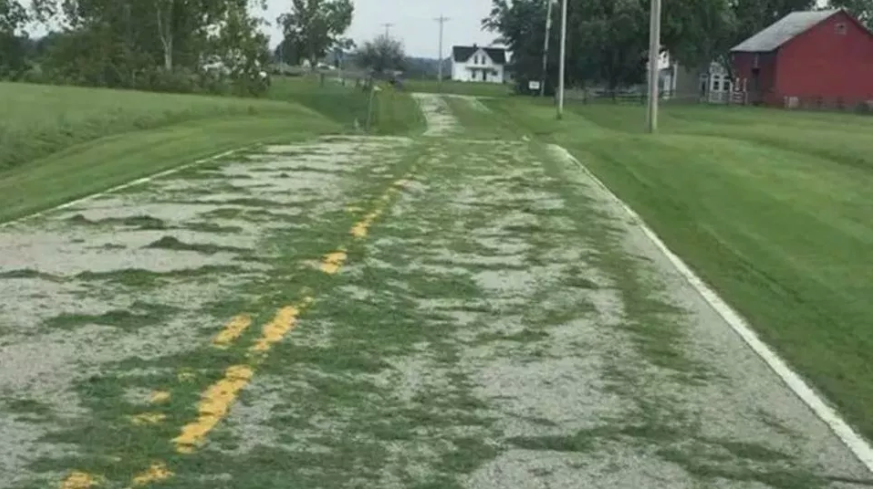 Grass clippings on road