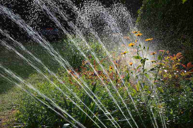 Sprinkler watering the garden