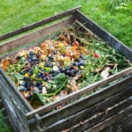 Composting 101: How to Start Your First Compost Pile