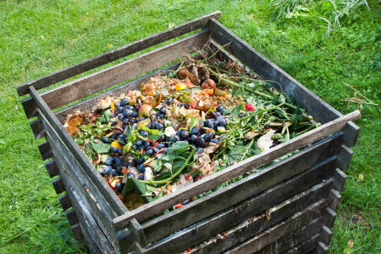 Compost bin filled with food scraps and garden waste, providing nutrient rich organic material for sheet mulching layers.