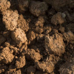 Friable Loam: The Ideal Lawn Soil and How to Get It