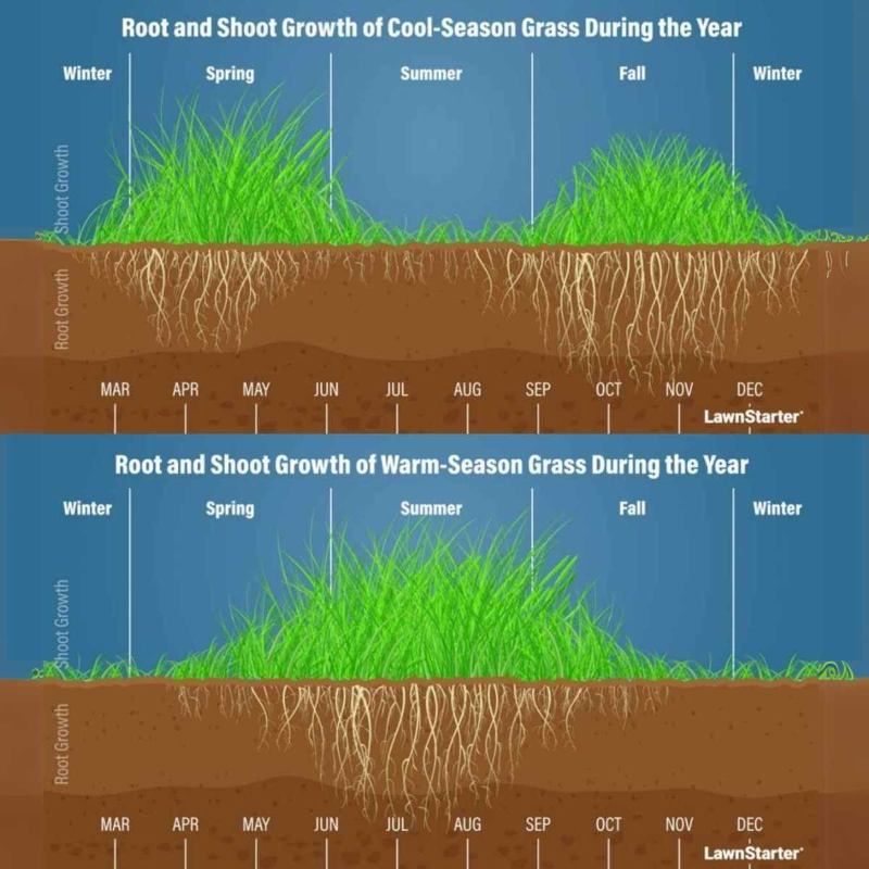 A side by side picture showing growth of cool and warm season grass round the year