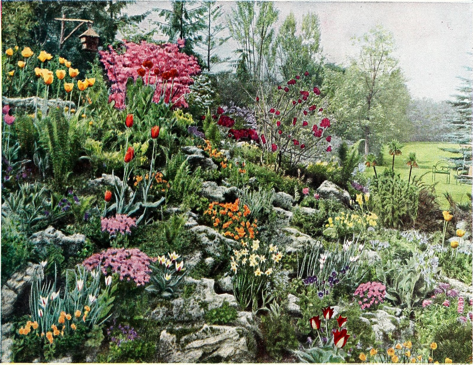 Page from 1949 Dreer's fall bulb catalog
