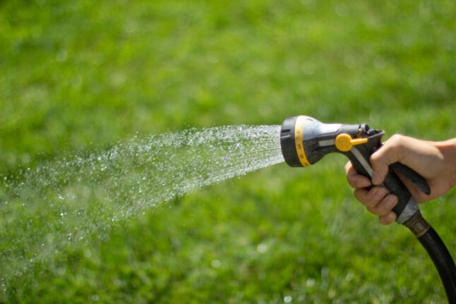 a person watering a lawn