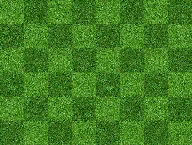 Lawn with alternating light and dark green square checkerboard mowing pattern.