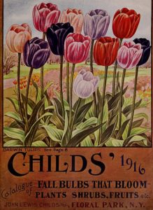 Fall bulbs catalog from 1916