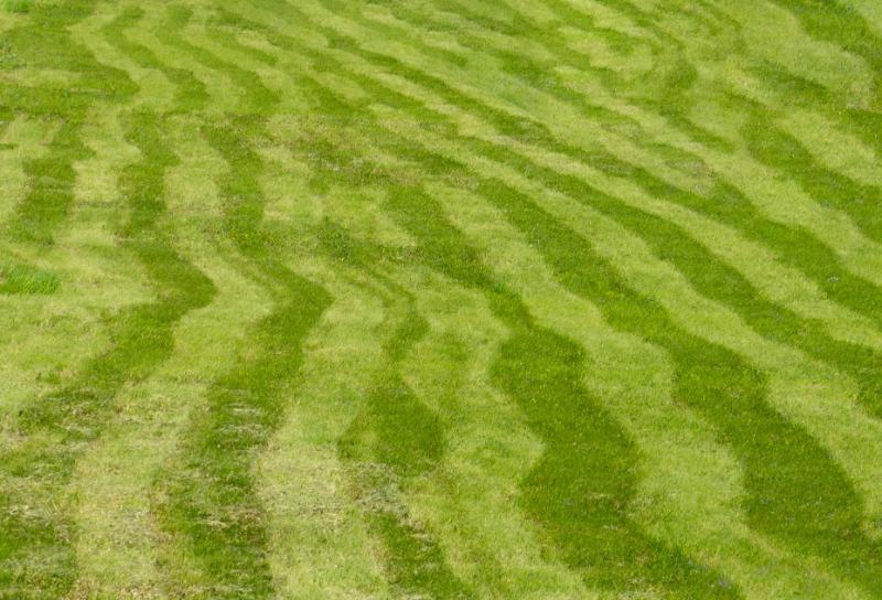 grass mowed by uneven stripes of different shades of green