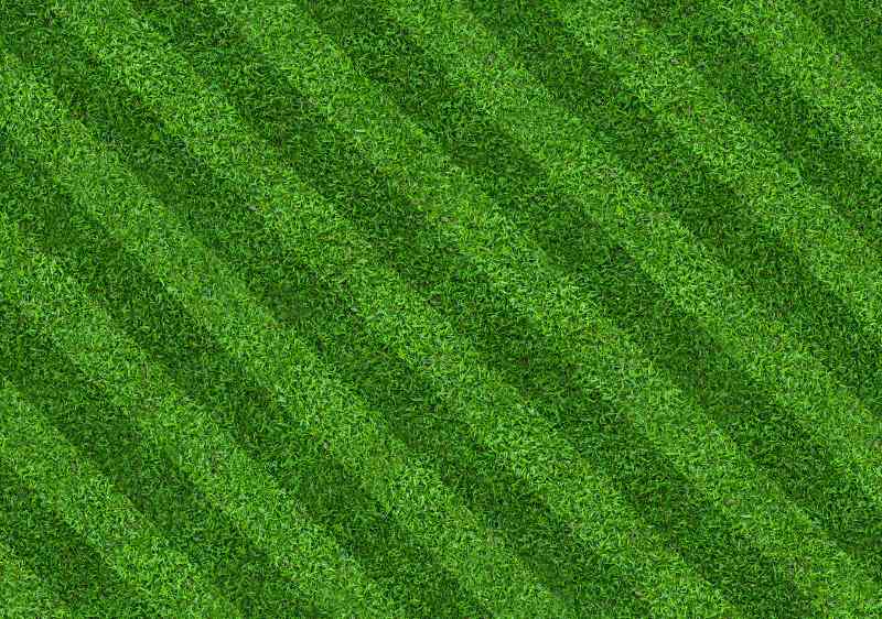 Diagonal green lawn stripes with alternating light and dark bands across the grass.