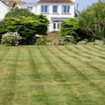 How to Add Stripes to Your Lawn Like a Pro