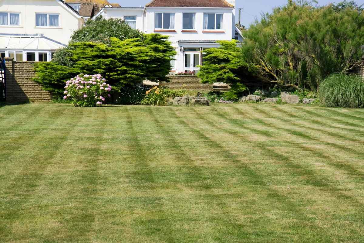 lawn stripes