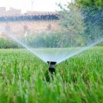 Best Time to Water Your Grass