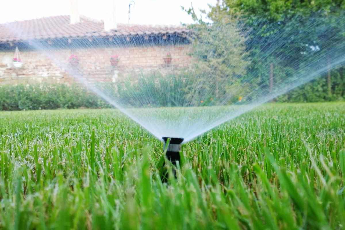 water coming out of sprinkler in a lawn