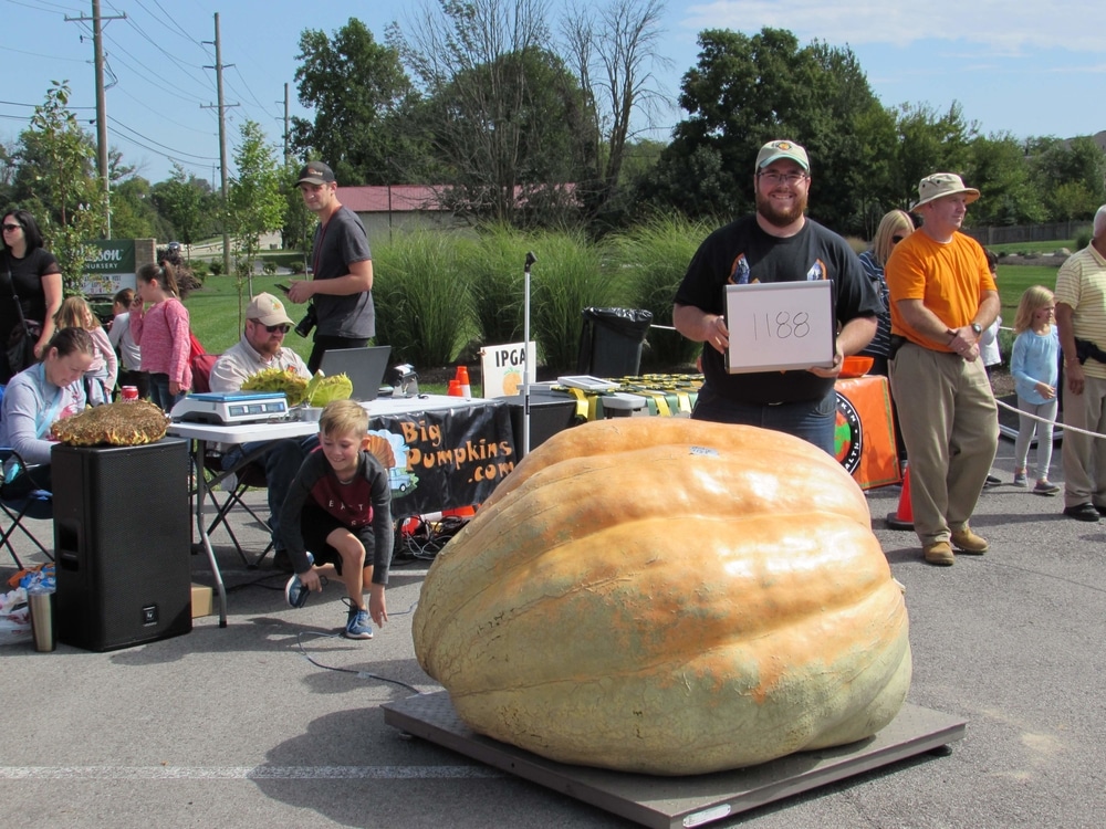 How to Pick the Perfect Pumpkin — and Keep It  From Rotting