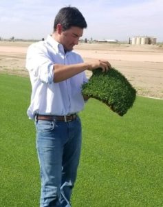 Ryan Moy inspects a piece of sod.