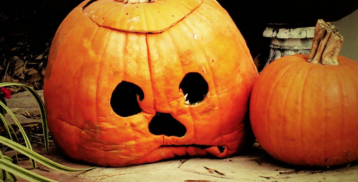 Sad, rotting pumpkin