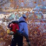 What to Expect When You Hire a Company to Rake Your Leaves