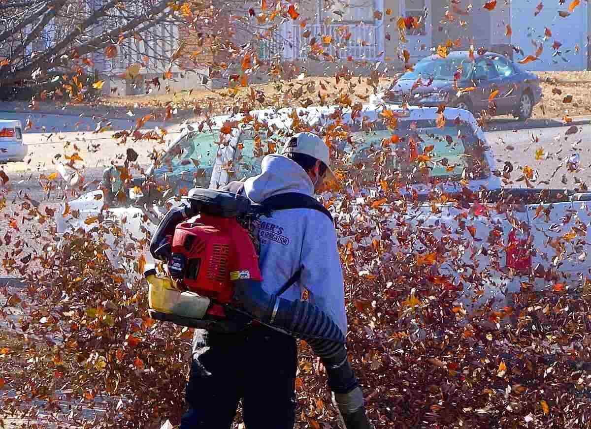 a person blowing leaves with a blower carrying on back