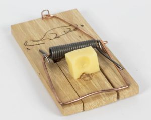 Mousetrap with cheese