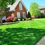 Fresh-Cut Grass Smell is Your Lawn’s Shriek of Despair, Science Says
