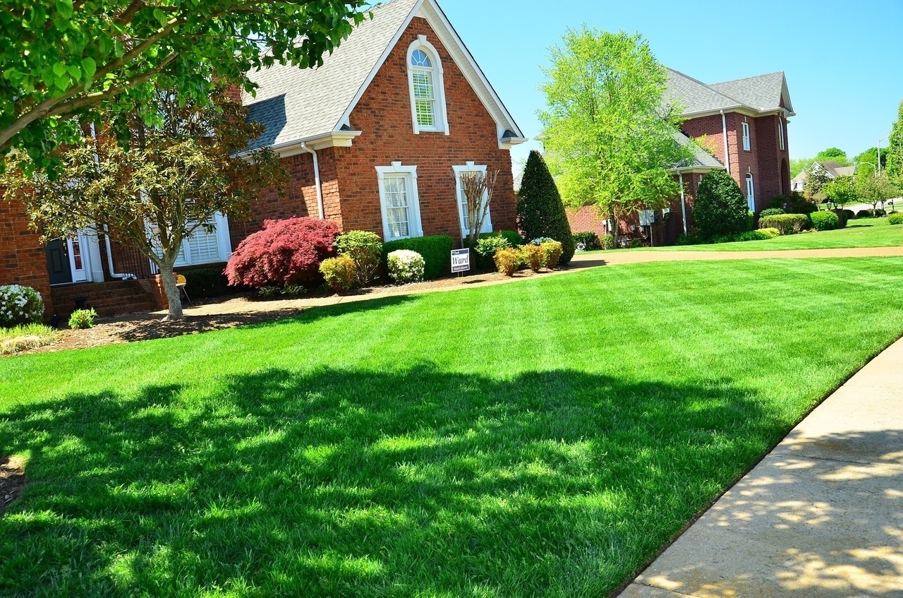 Fresh cut lawn