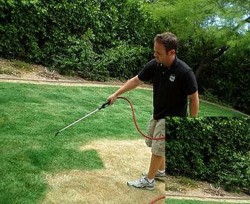 How to Paint Your Lawn 